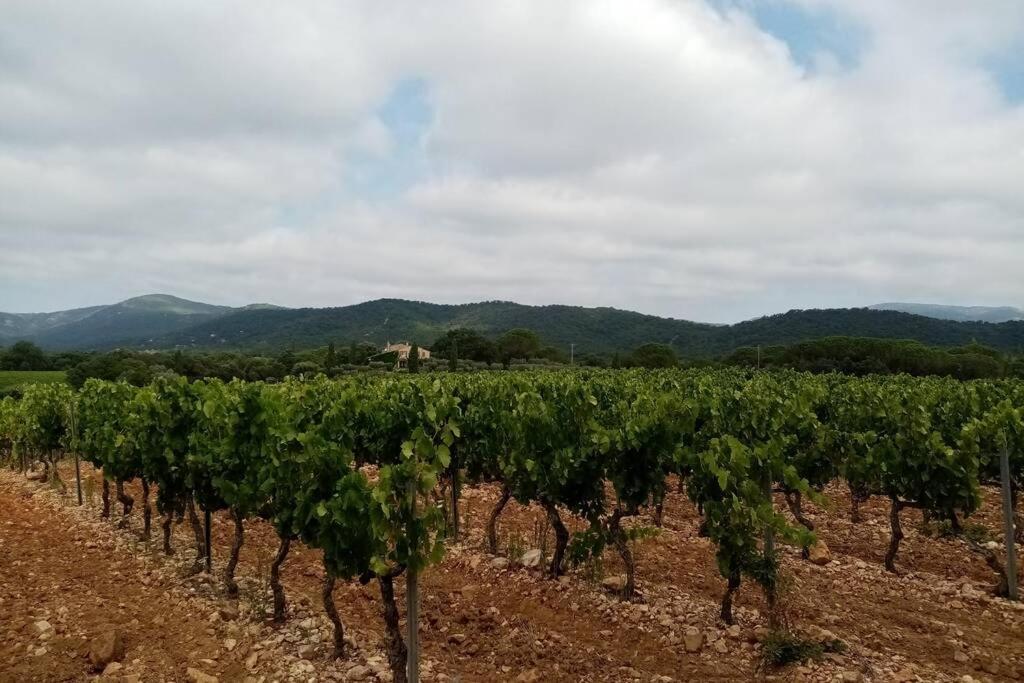 Charmant Appartement T2 Au Coeur Des Vignes Cogolin Εξωτερικό φωτογραφία