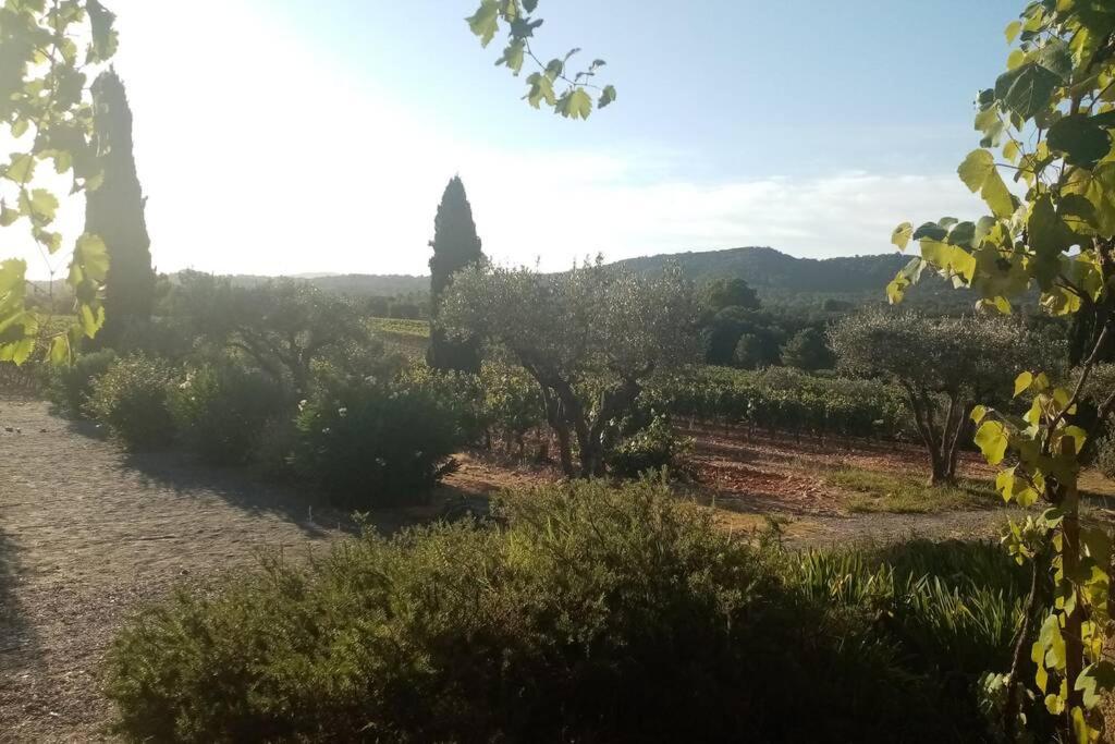 Charmant Appartement T2 Au Coeur Des Vignes Cogolin Εξωτερικό φωτογραφία