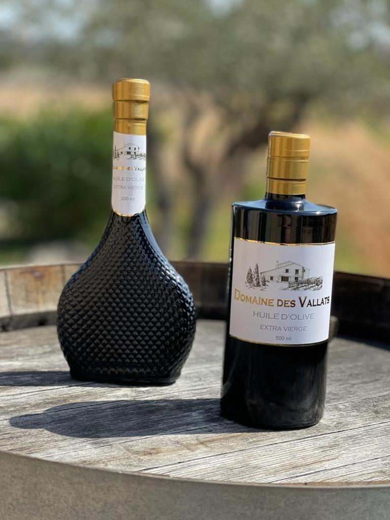 Charmant Appartement T2 Au Coeur Des Vignes Cogolin Εξωτερικό φωτογραφία
